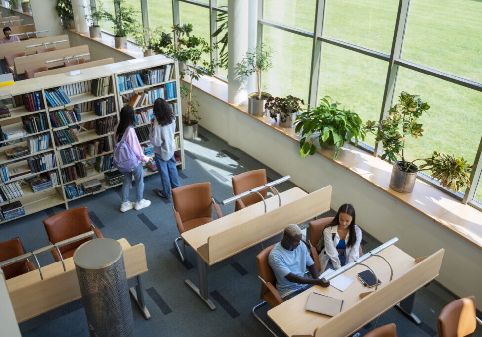high-angle-students-learning-library